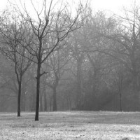 /album/hyde-park/hyde-park-05-jpg/