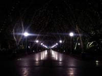 /album/hyde-park/hyde-park-09-jpg/